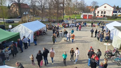 Foto des Albums: Frühlingsbeginn an der Kranichbank am 28. März 2026