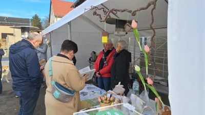 Foto des Albums: Frühlingsbeginn an der Kranichbank am 28. März 2026