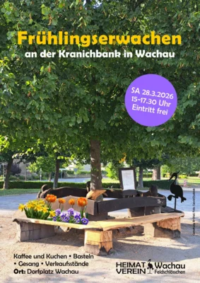 Foto des Albums: Frühlingsbeginn an der Kranichbank am 28. März 2026