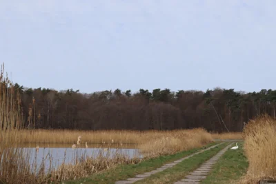 Foto des Albums: Besuch Blumberger Mühle