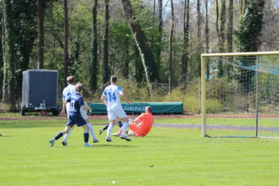 Foto des Albums: TSV Hagenburg 2 gegen TJL 2 endet 2:0