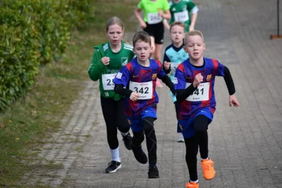 Foto des Albums: 22. Eggermühlener Volkslauf 2026