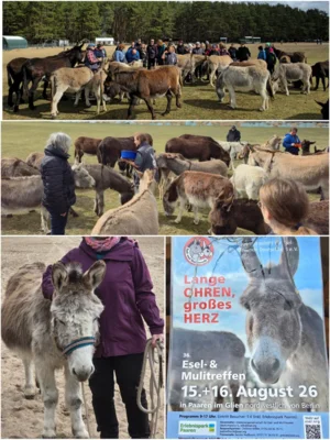 Foto des Albums: Esel-Paten-Treffen 2026