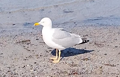 Foto des Albums: Osterspaziergang 2026