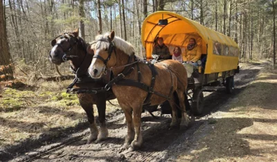 Foto des Albums: Osterspaziergang 2026