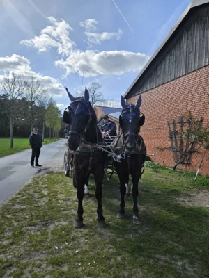 Foto des Albums: Osterausfahrt 2026