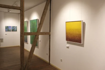 Foto des Albums: Ausstellungseröffnung Gabriele Styppa »Haupt- und Nebenwege« Malerei - Fotografie - Objekte