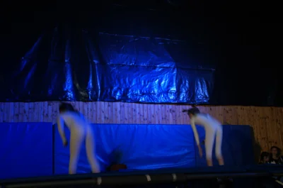 Foto des Albums: Zirkus- und Akrobatikshow „10 Jahre Traumfänger“ (2017)