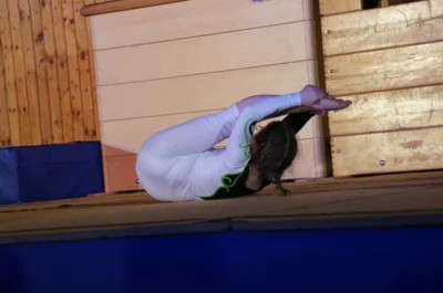 Foto des Albums: Zirkus- und Akrobatikshow „10 Jahre Traumfänger“ (2017)