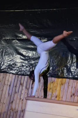 Foto des Albums: Zirkus- und Akrobatikshow „10 Jahre Traumfänger“ (2017)