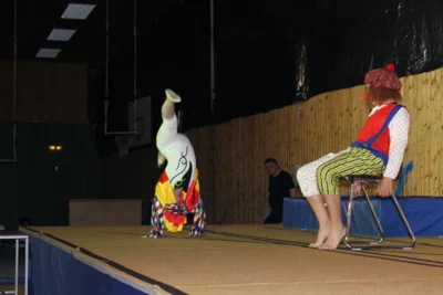 Foto des Albums: Zirkus- und Akrobatikshow „10 Jahre Traumfänger“ (2017)