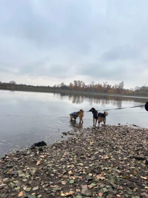 Foto des Albums: Nachricht von Lucky und Sophie
