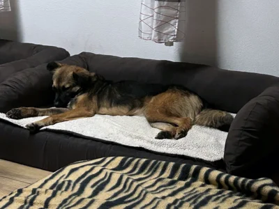 Foto des Albums: Nachricht von Lucky und Sophie