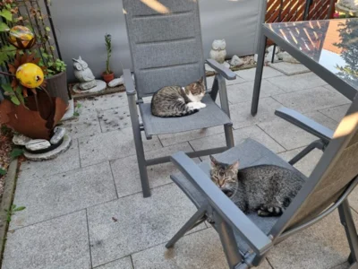 Foto des Albums: Nachricht von Thosca & Thea