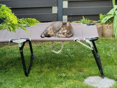 Foto des Albums: Nachricht von Thosca & Thea