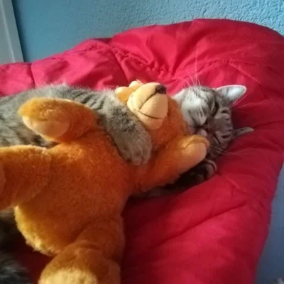 Foto des Albums: Liebe Grüße von Ina