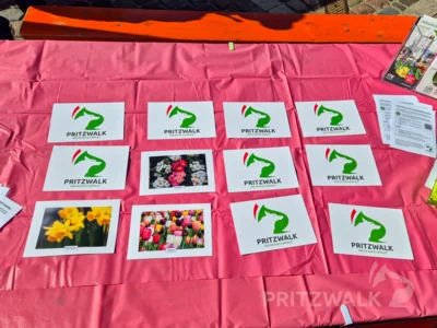 Foto des Albums: Sonne satt beim Frühlingsmarkt, dem ersten PriMa-Treff 2026