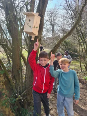 Foto des Albums: NEST Besuch 3b
