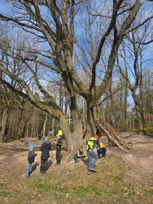 Foto des Albums: Ferienhort - Trimm-Dich-Pfad Friedrichroda