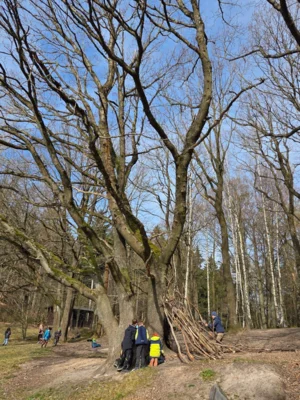 Foto des Albums: Ferienhort - Trimm-Dich-Pfad Friedrichroda