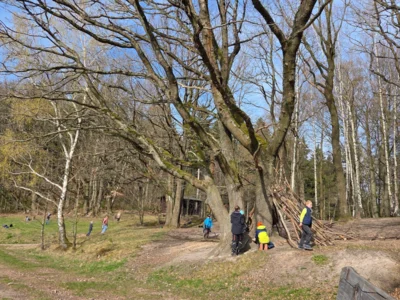 Foto des Albums: Ferienhort - Trimm-Dich-Pfad Friedrichroda