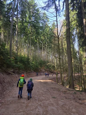 Foto des Albums: Ferienhort - Trimm-Dich-Pfad Friedrichroda
