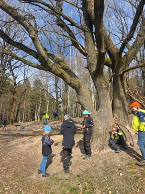 Foto des Albums: Ferienhort - Trimm-Dich-Pfad Friedrichroda