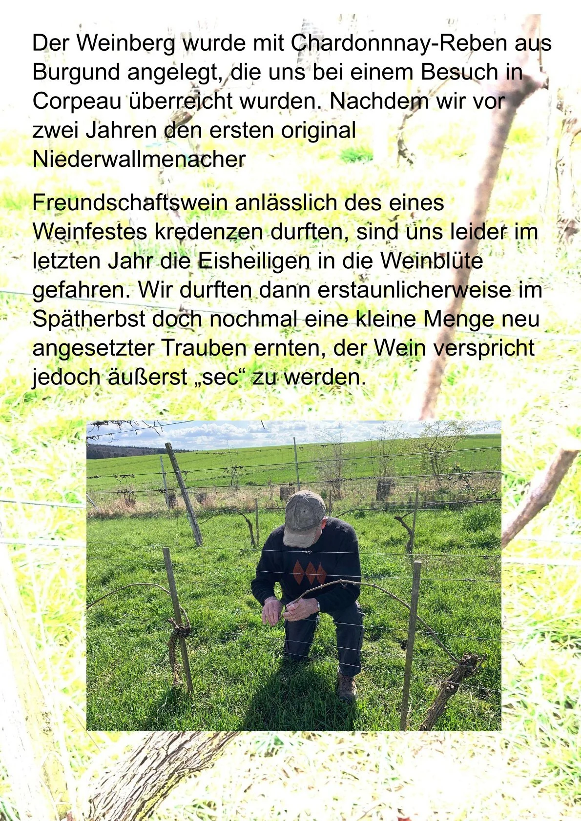 Bild: 0002