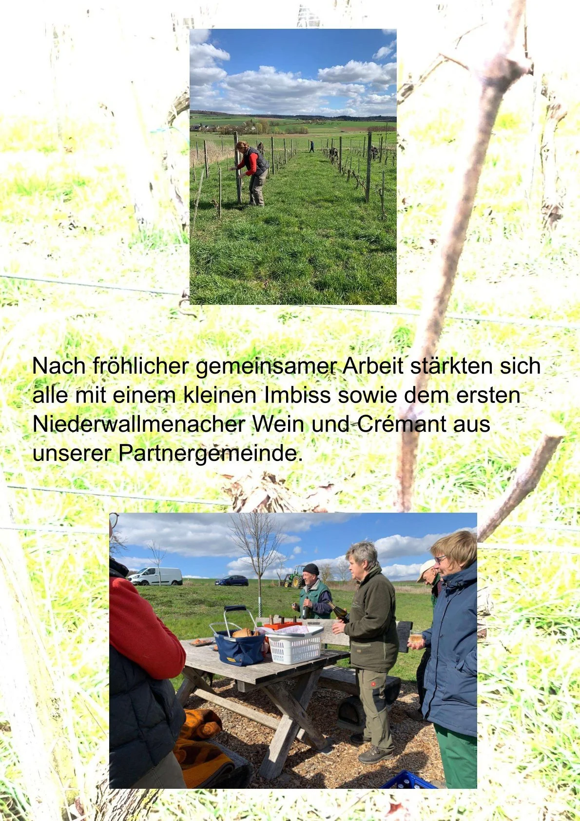 Bild: 0004