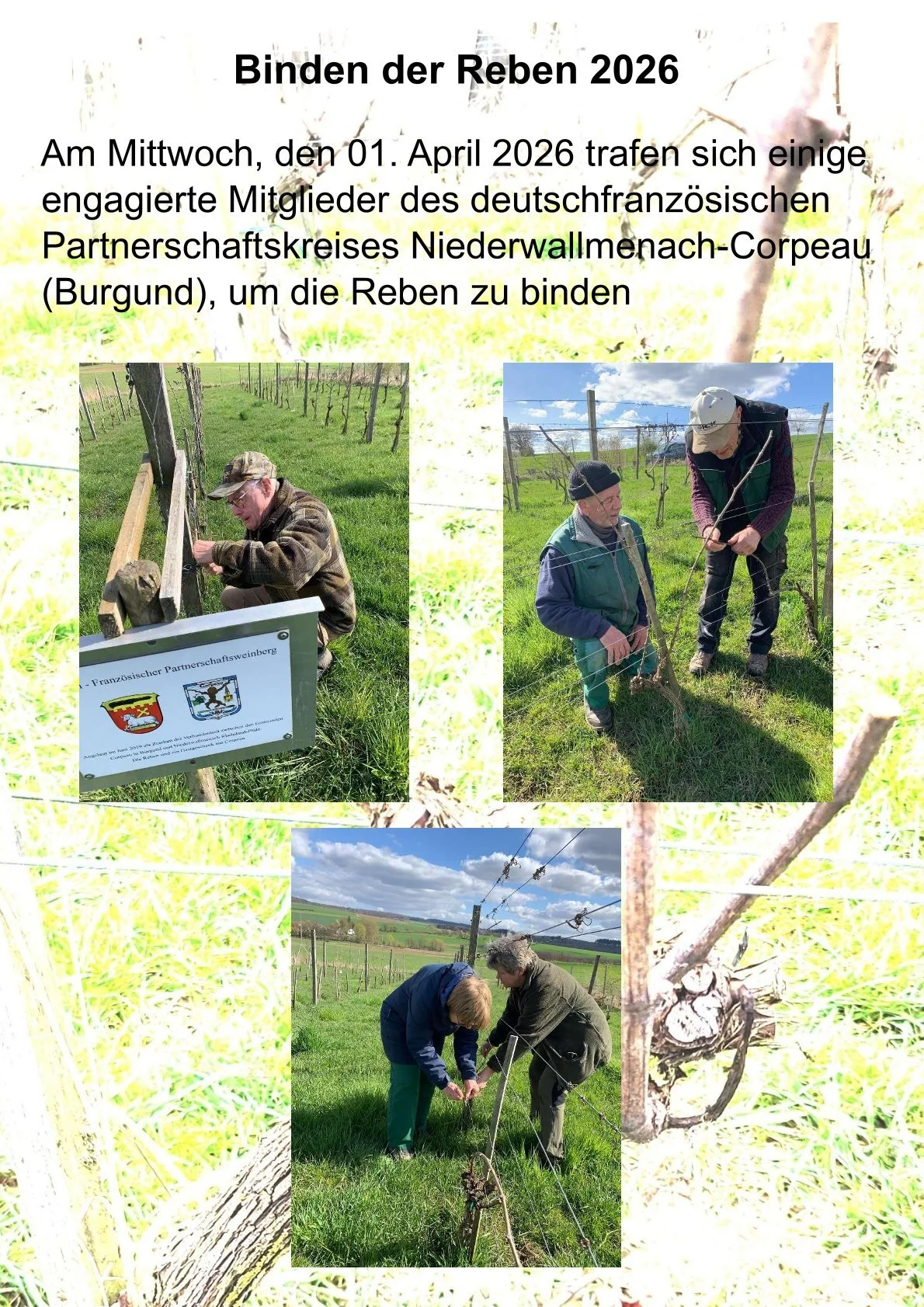 Bild: 0001