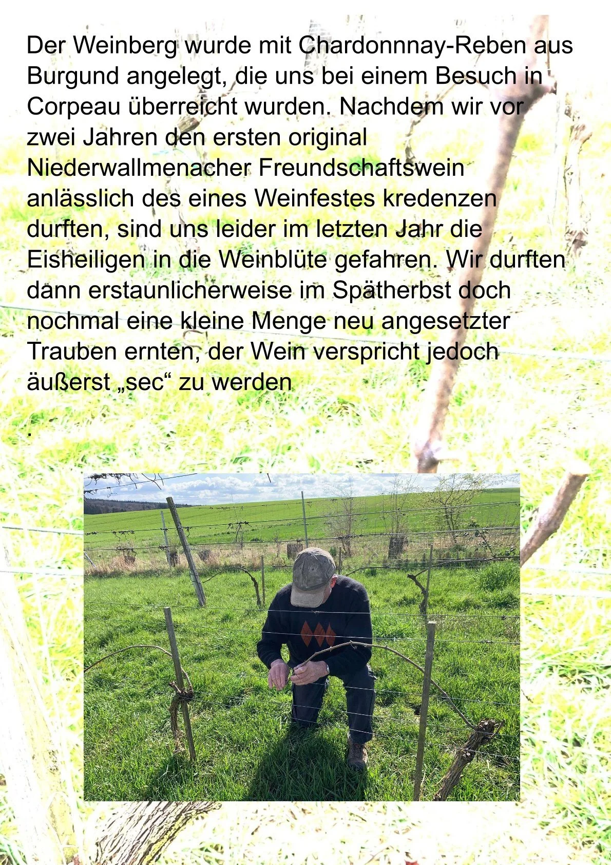 Bild: 0002