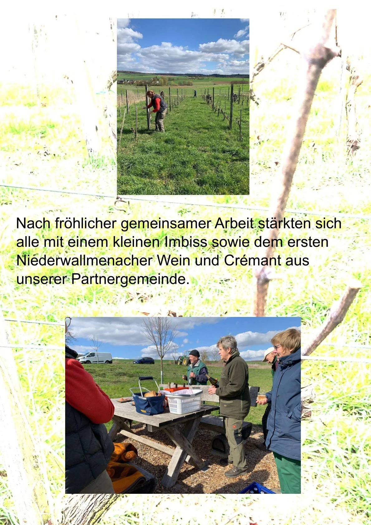 Bild: 0004