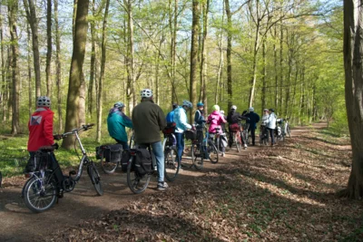 Im W&auml;ldchen nach Landringhausen  (Bild vergr&ouml;&szlig;ern)