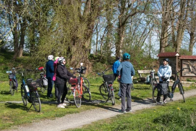 Rast an der S&uuml;daue  (Bild vergr&ouml;&szlig;ern)