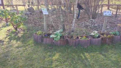 Foto des Albums: Frühjahrsputz Naturlehrpfad 2026