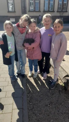 Foto des Albums: Hasenbesuch