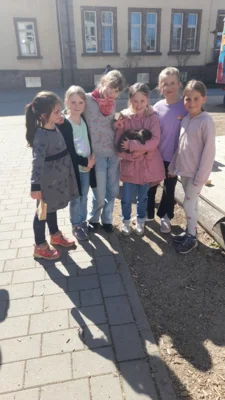 Foto des Albums: Hasenbesuch