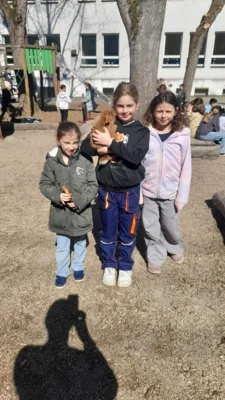 Foto des Albums: Hasenbesuch