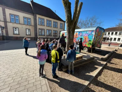 Foto des Albums: Hasenbesuch