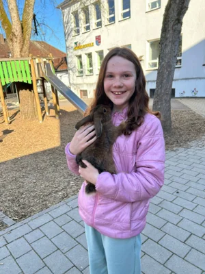 Foto des Albums: Hasenbesuch