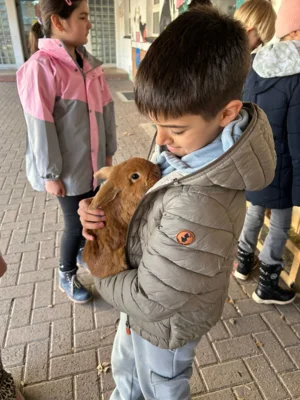 Foto des Albums: Hasenbesuch