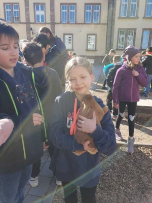 Foto des Albums: Hasenbesuch