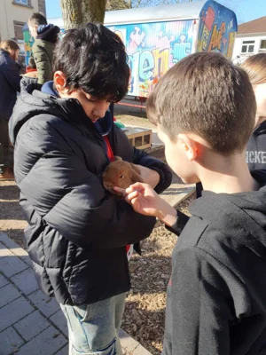 Foto des Albums: Hasenbesuch