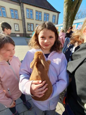 Foto des Albums: Hasenbesuch