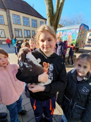 Foto des Albums: Hasenbesuch
