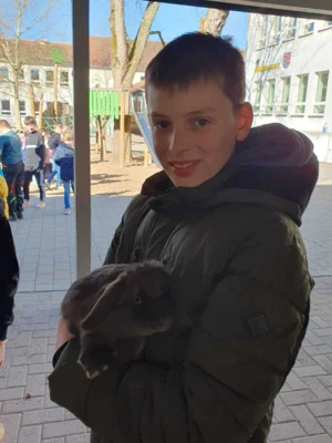 Foto des Albums: Hasenbesuch