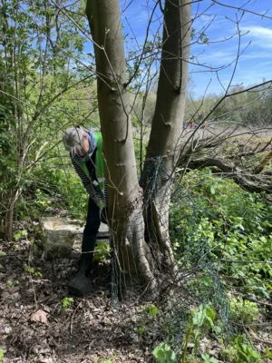 Foto des Albums: CleanUp Hürth in Efferen