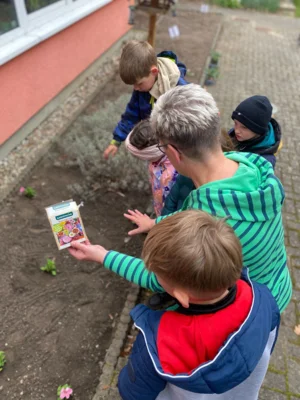 Foto des Albums: Frühjahrsputz 2026