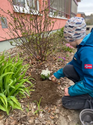 Foto des Albums: Frühjahrsputz 2026