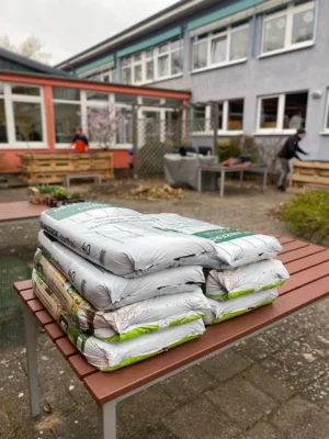 Foto des Albums: Frühjahrsputz 2026